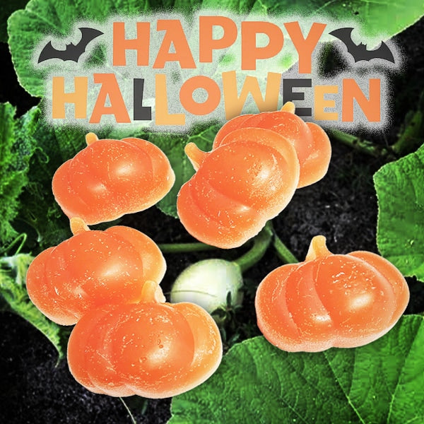 Big Top - Wax - Pumpkins