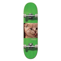 Civilian - Complete - Animalography Series "Cat"