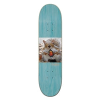 Squirrel Skateboard Deck – Civilian Animalography Series